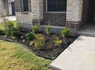Weeding by Marcedes Ginn for Ifeanyi A. in Melissa, TX