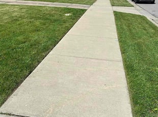 Darlene J.'s Lawn Service service result