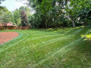 Susan R.'s Lawn Mowing service result