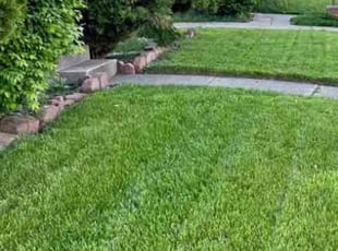 Laura S.'s Lawn Care service result