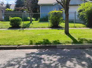 Daniel M.'s Grass Cutting service result