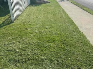 Alfredo C.'s Yard Cutting service result