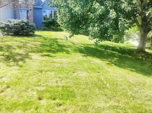 Jeff M.'s Lawn Mowing service result