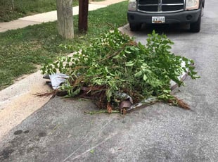 Bush Trimming by Kamonta Hackey for Sheriff T. in Silver Spring, MD
