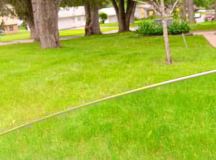 Debra R.'s Lawn Mowing Service service result