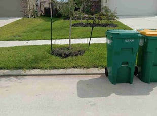 Adrienne G.'s Lawn Mowing service result
