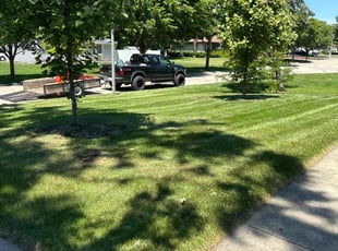 David E.'s Lawn Mowing service result