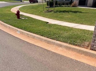 Damien H.'s Lawn Care service result