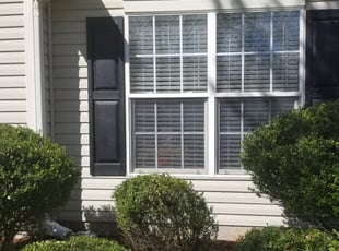 Bush Trimming by moronnie jones for Lisa D. in Charlotte, NC