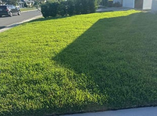 Lee C.'s Lawn Care service result