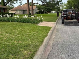 Carolyn W.'s Lawn Mowing Service service result