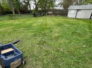Kenneth W.'s Grass Cutting service result