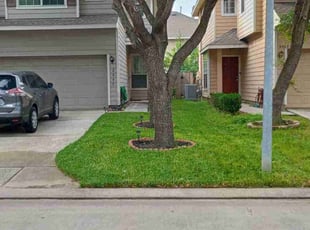 PJ M.'s Lawn Care service result