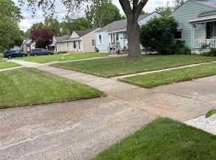 Matthew j.'s Lawn Service service result