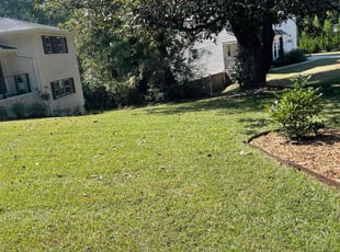 Grace H.'s Lawn Mowing service result