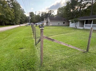 Fred D.'s Lawn Mowing service result