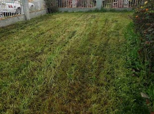 Cleanups by William Aguilar for Priscilla R. in Compton, CA