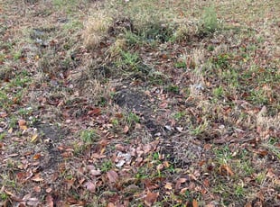 Cleanups by Chris Deshon for Eric B. in Granite City, IL