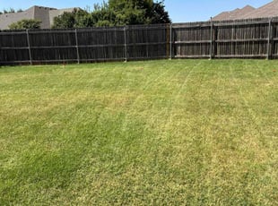 Cleanups by Manuel Silveira for Alesha B. in Oklahoma City, OK