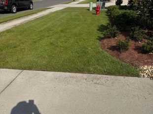 Fred i.'s Lawn Care service result