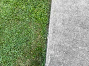 Zoran M.'s Lawn Mowing service result