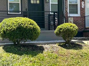 Bush Trimming by Steven Foster for Malkia C. in Washington, DC