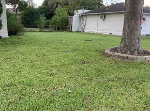 Kent G.'s Lawn Mowing service result