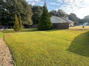 Carolynn P.'s Lawn Mowing service result