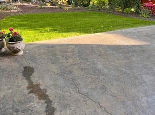 Robert S.'s Grass Cutting service result