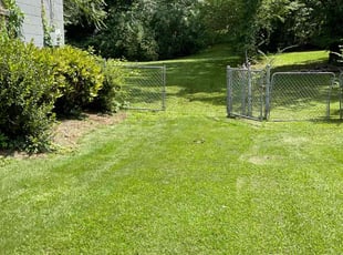 Cynthia P.'s Lawn Care service result