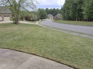 Ron B.'s Grass Cutting service result