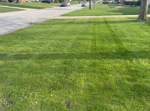 Lorraine A.'s Grass Cutting service result
