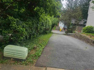 Bush Trimming by Yobani Benitez for Ian D. in Annapolis, MD
