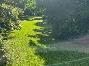 Judith C.'s Grass Cutting service result