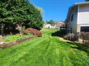 Estela D.'s Lawn Service service result