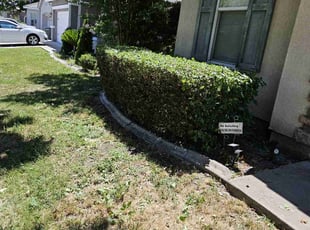 Cleanups by Juan Rodriguez for Robin J. in Sacramento, CA