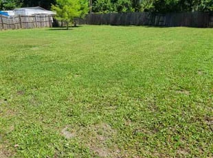 Andrew B.'s Lawn Care service result