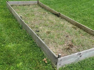 Weeding by Chris Smith for Chelsea S. in Indianapolis, IN