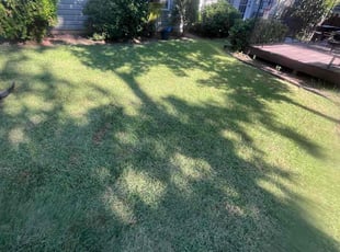 Lily R.'s Lawn Care service result