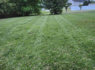 Rupel p.'s Lawn Mowing Service service result