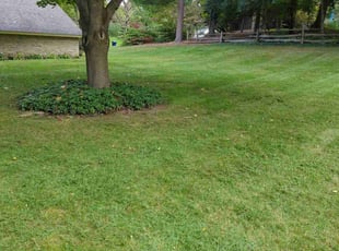 Kelly C.'s Lawn Care service result