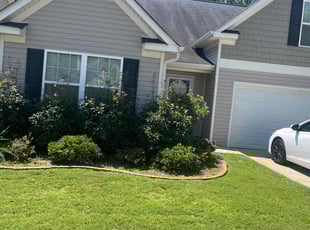 Sarah F.'s Lawn Mowing Service service result