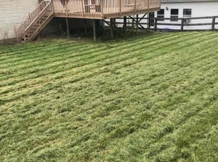 Cheryl J.'s Lawn Maintenance service result