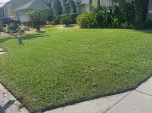 Jessica R.'s Lawn Mowing service result