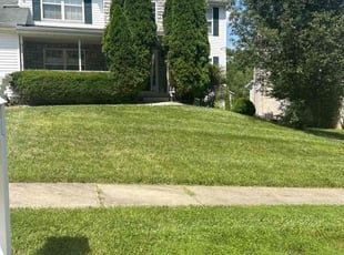 Miyan B.'s Lawn Service service result