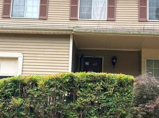 Bush Trimming by Soiver Perez for Trudi D. in Roswell, GA