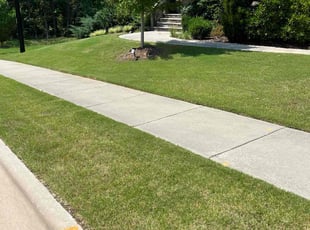 Michelle B.'s Lawn Mowing service result