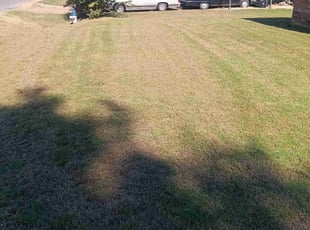 PL S.'s Lawn Care service result