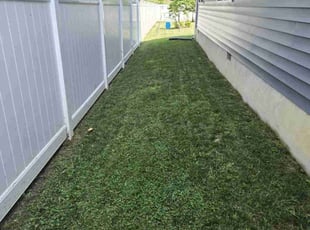 Daniella B.'s Lawn Care service result