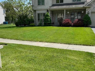 Matthew F.'s Lawn Service service result